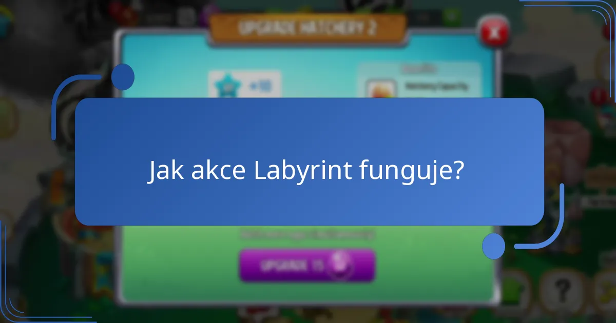 Jak funguje měna akce v akci Labyrint?